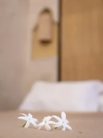 Monriad - Room
