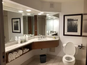 Wyndham Garden Buffalo Downtown - Salle de bain
