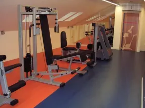 Hotel Francisco II - Salle de remise en forme