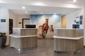 Best Western Plus Fort Worth North - Réception