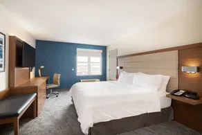 Holiday Inn Express & Suites Boston - Cambridge by IHG - Chambre