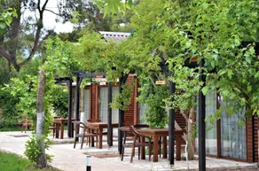 Koala Bungalows - Habitación