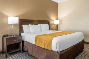 Comfort Inn & Suites Cincinnati Uptown Clifton - Habitación