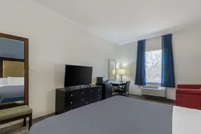 Rodeway Inn Wesley Chapel - Chambre