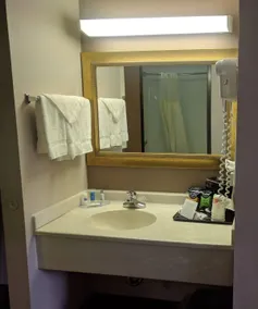 Royal Inn Suites - Badrum