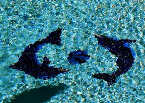 Hampton Inn Dallas-Rockwall - Piscine