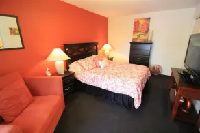 Villa Havelaar - Executive - 3 Bedroom - Room