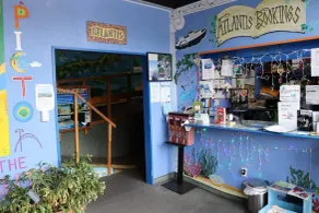 Atlantis Backpackers - Reception