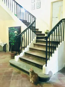 Le Domaine de Villespy - Reception