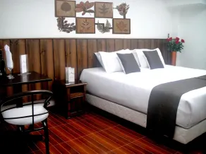 Hotel Boutique Embajada de la Feria - Room