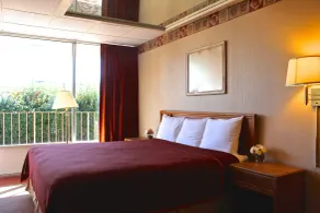 Regency Inn Richmond - Chambre