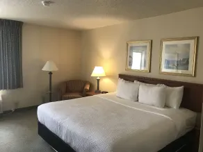 La Quinta Inn by Wyndham Indianapolis Airport Executive Dr - Chambre
