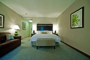 Hampton Inn & Suites Denison - Chambre
