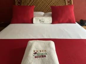 Hotel Alameda Orizaba - Chambre