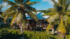 White Grass Ocean Resort & Spa - Room