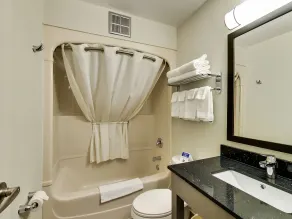 Spark by Hilton Oshawa - Salle de bain
