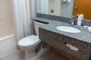 Microtel Inn & Suites by Wyndham Pigeon Forge - Badrum