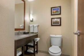 Comfort Inn & Suites Euless DFW West - Salle de bain
