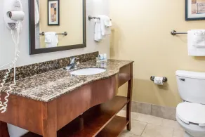 Sleep Inn & Suites Pooler - Savannah Area - Salle de bain
