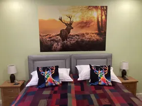 Taigh Sealladh Fèidh B&B - Værelse