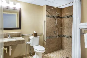 Comfort Inn Auburn-Worcester - Salle de bain