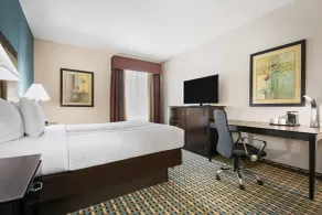La Quinta by Wyndham Stonington-Mystic Area - Chambre