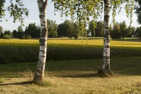 Ulvsby Herrgård - Utsikt fra rommet