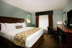 Baymont Inn & Suites Braselton - Chambre