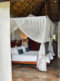 Honeyguide Conservation Lodge - Zimmer