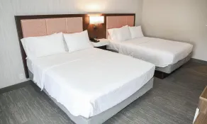 Hampton Inn Williamsport-Downtown - Chambre