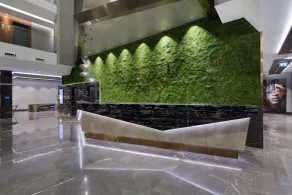 DoubleTree by Hilton Hotel Istanbul - Piyalepasa - Reception