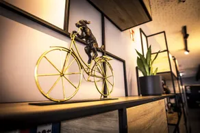 ibis Wels - Réception