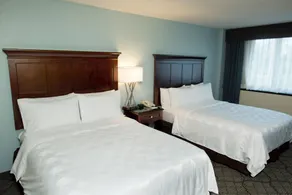 Holiday Inn Birmingham-Airport by IHG - Værelse