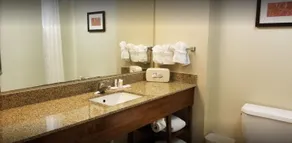 Comfort Suites Manassas Battlefield Park - Salle de bain