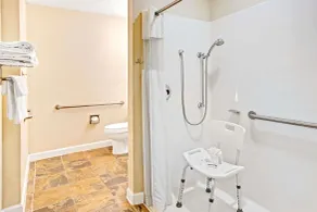 Microtel Inn & Suites by Wyndham Statesville - Salle de bain