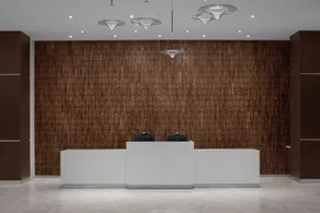 AC Hotel by Marriott Sacramento Folsom - Rezeption