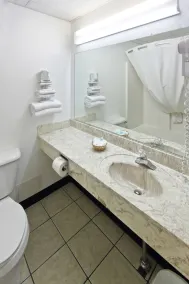 Cadillac Inn - Salle de bain