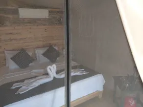 Green Pine Bungalows & Beach Luxury Concept - Room