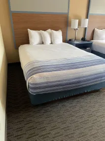 AmericInn by Wyndham Greenville - Habitación
