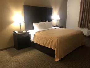 Quality Inn & Suites Paragould - Room