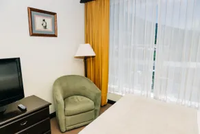 Plaza Hotel and Suites - Room