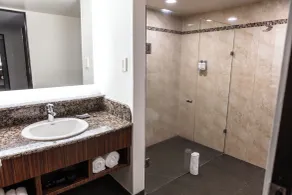 Holiday Inn Mexico City - Trade Center by IHG - Bathroom