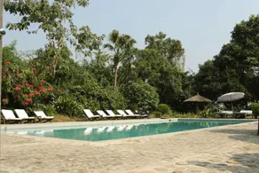 Tiger Tops Tharu Lodge - Pool