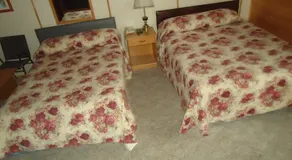 Dreamland Motel - Chambre