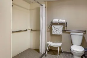 Comfort Inn Edison - New Brunswick - Salle de bain