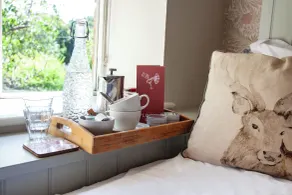 The Plough Inn - Rom