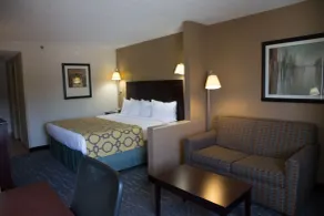 Baymont by Wyndham Saraland - Chambre