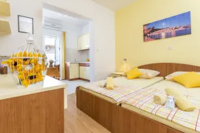 Apartments Ivanović - Camera