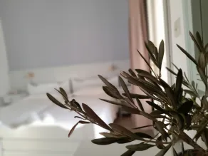 Elia - Room