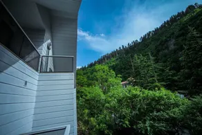 Borjomi UnderWood - View from room